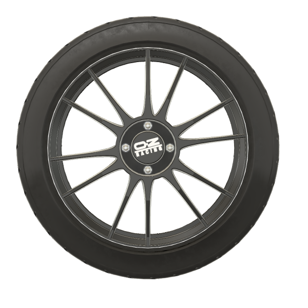 OZ Racing 3d print resin skala 1/24 1/25